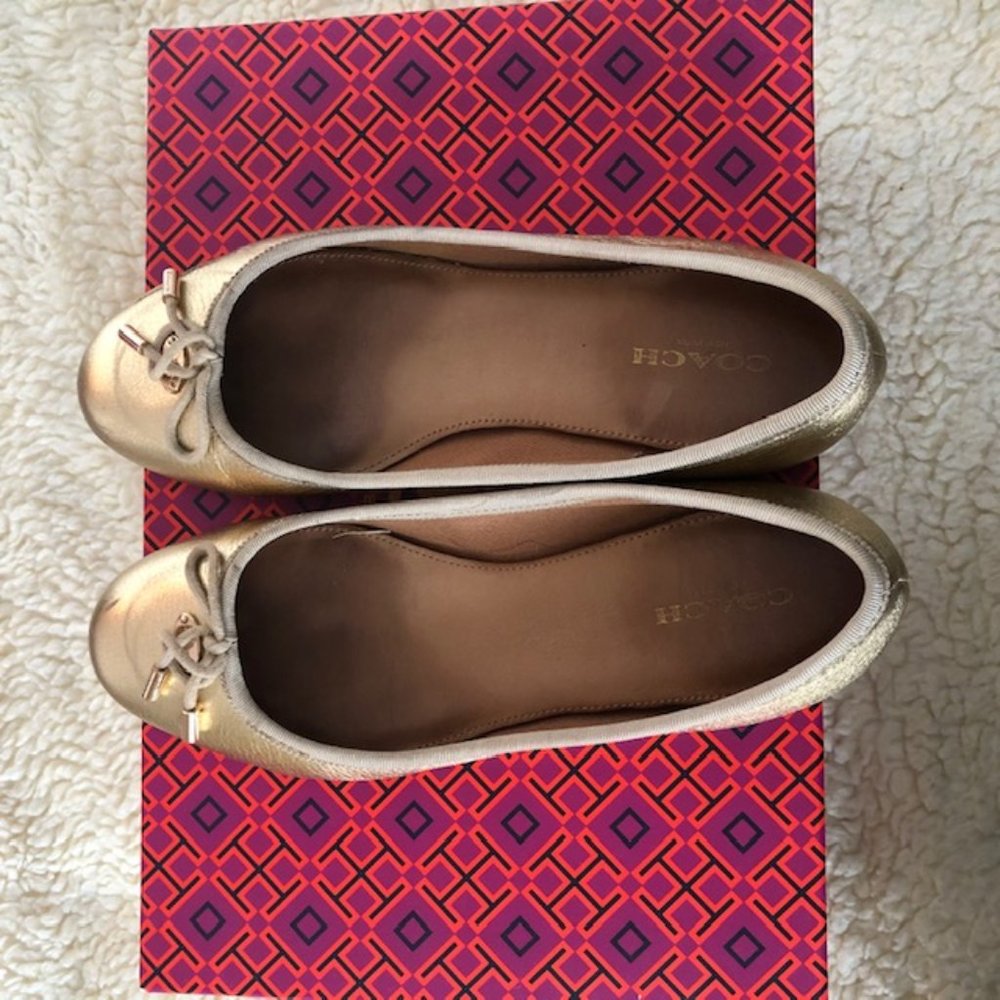 flats